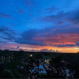 Meet your Posher, Carly